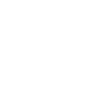 Rocco's Remedy white logomark